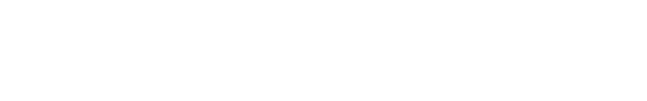 The Southern Swing — Wordmark, 2024 refresh