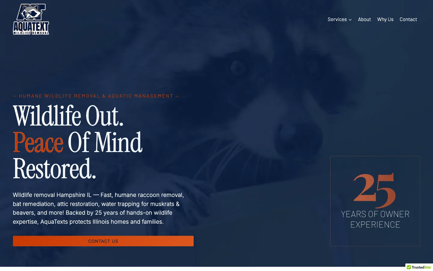 AquaText Inc. — Brand identity